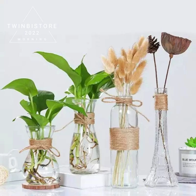 Square Vase Glass / Vas Bunga Kaca Kotak / Pot Persegi Tanaman Air Hidroponik Estetik