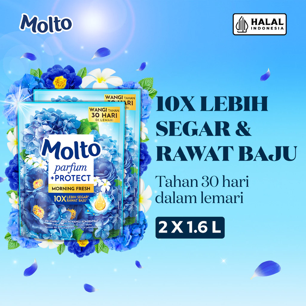 Molto Pelembut & Pewangi Pakaian Softener Konsentrat Parfum + Protect Morning Fresh 1.6 L X2