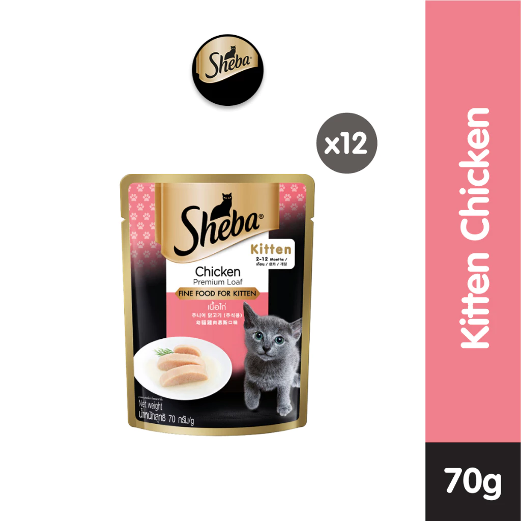 Sheba Pouch Junior Makanan Anak Kucing Basah rasa Chicken 70 gr - Isi 12