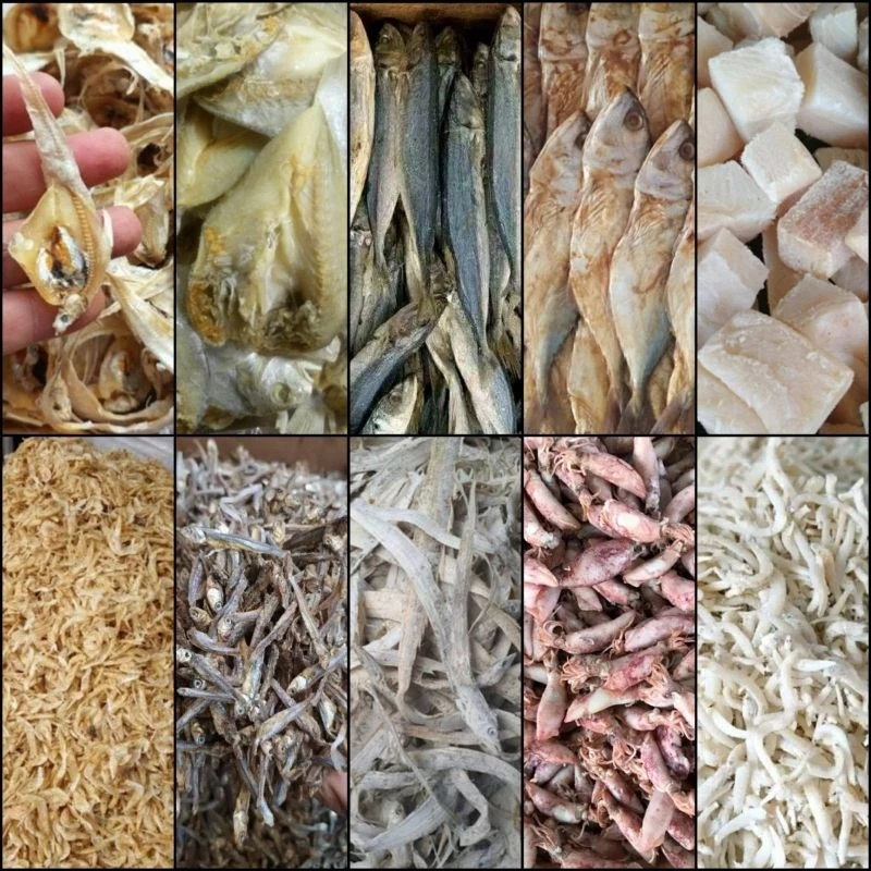 Aneka Varian Ikan Asin / Teri Medan / Cumi Asin / Teri Asin / Ikan Asin Kering